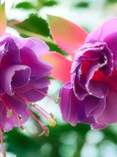 file_76354852
