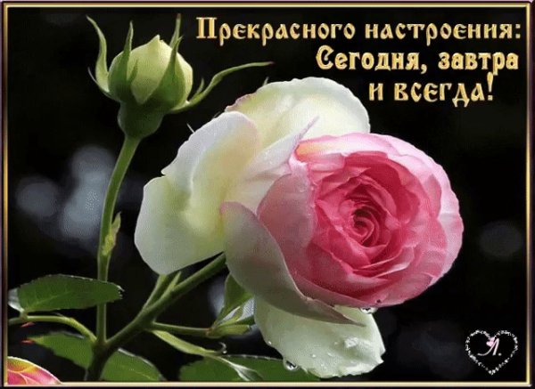 file_72914388