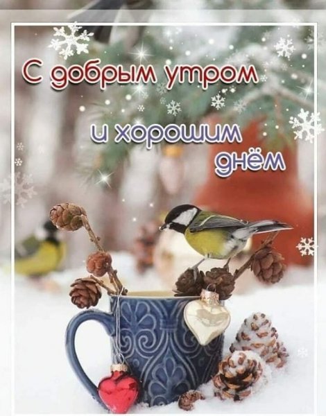 IMG 20191207 024357