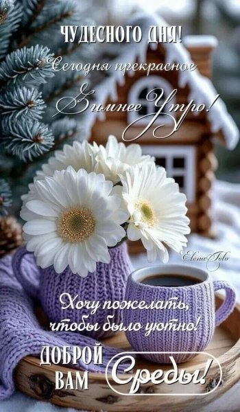 IMG 20260123 101059