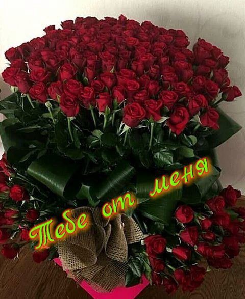 8JxWN33 cxk