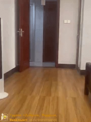IMG 20240807 194104