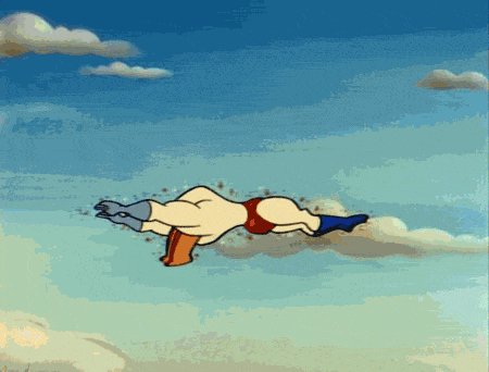 Flight