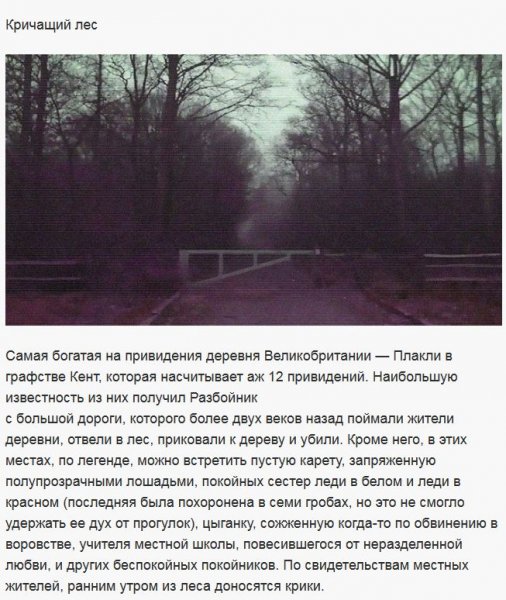 4.Кричащий лес
