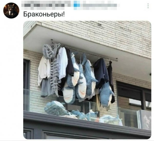 file_102150331