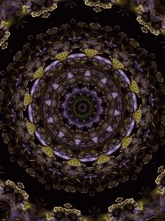 file_55348030