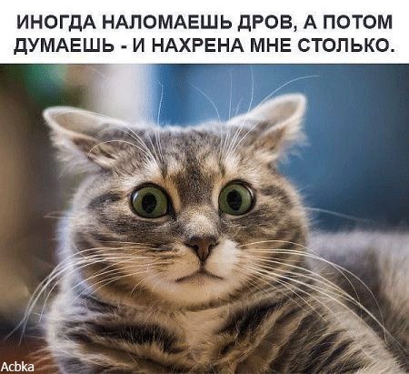 file_75641506