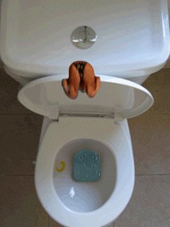 Унитаз
