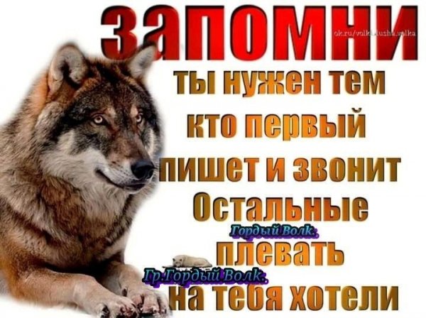D63be0901c6cba8abd8ac695f2a8681e