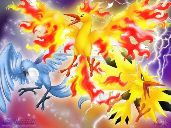 pokemon 11