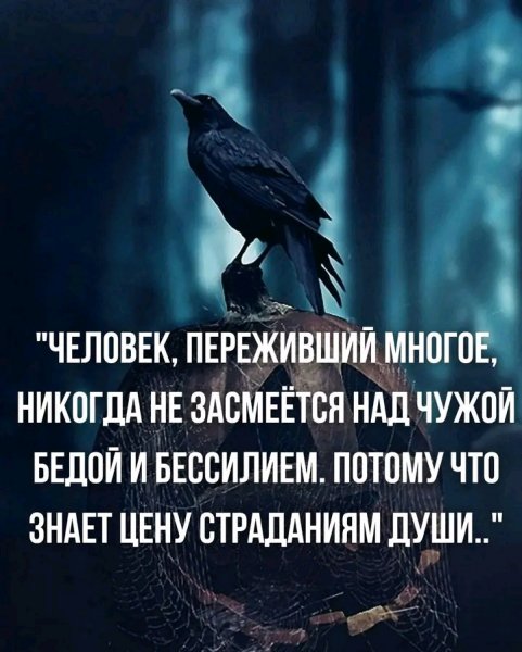 file_95952635