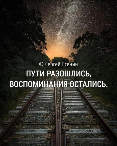 IMG 20260121 110426 309
