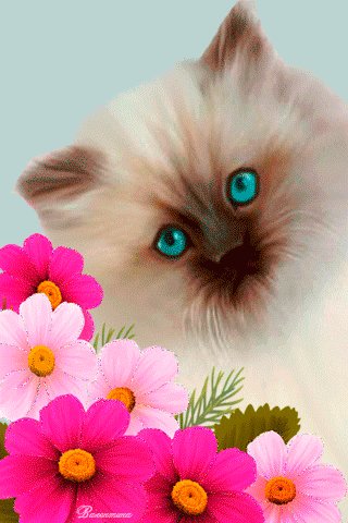 file_96447986