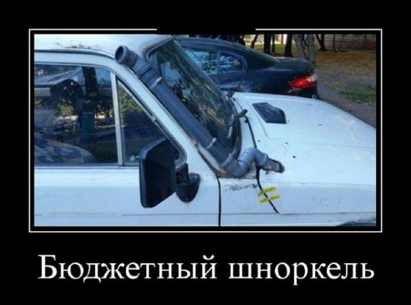 Бюджетный шнокрель