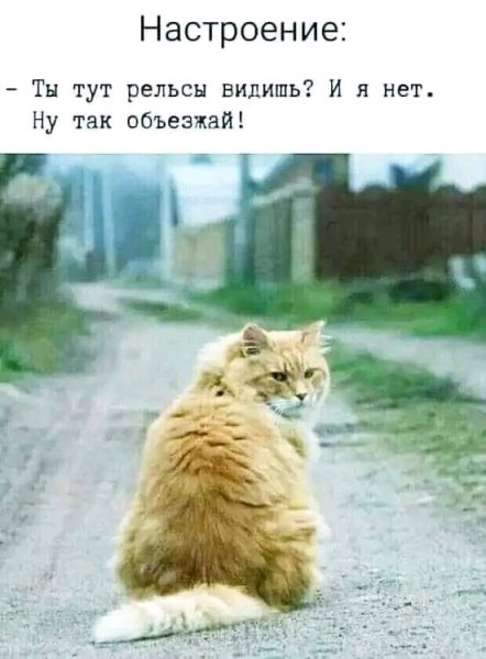 file_103303682