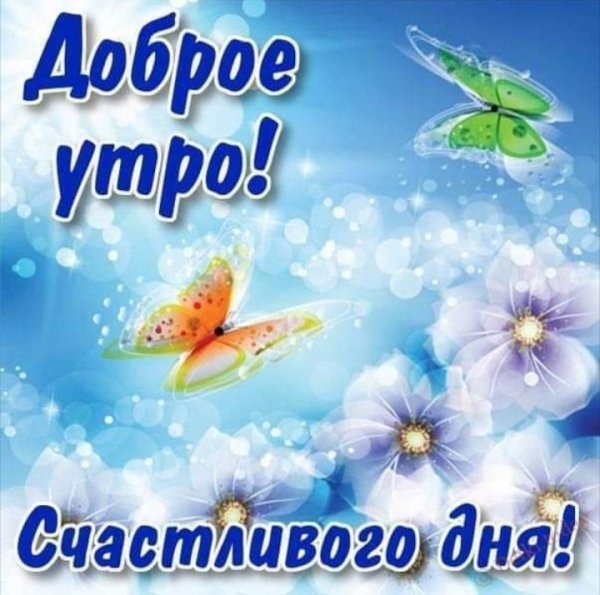 IMG 20190312 123845