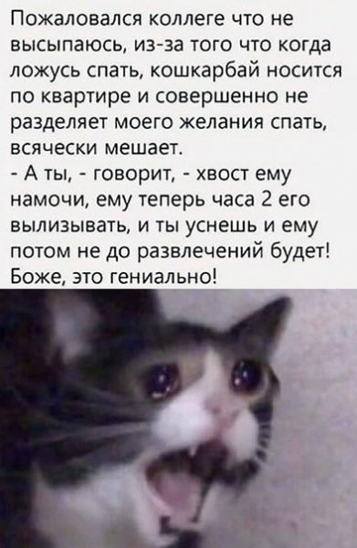 file_81359698