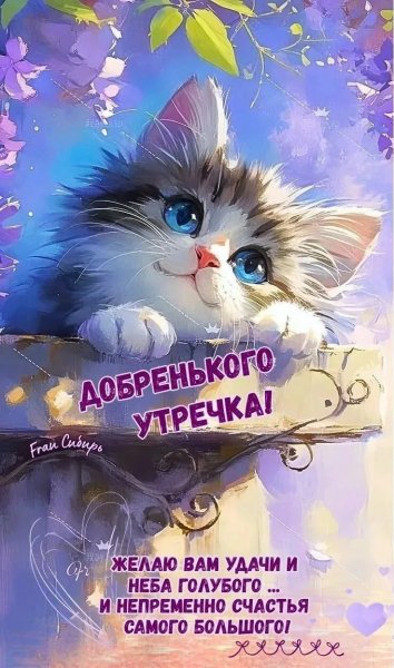 IMG 20260706 113841 428