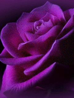 file_62561883