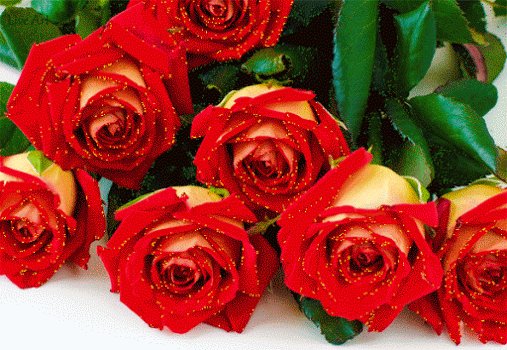 file_75320260