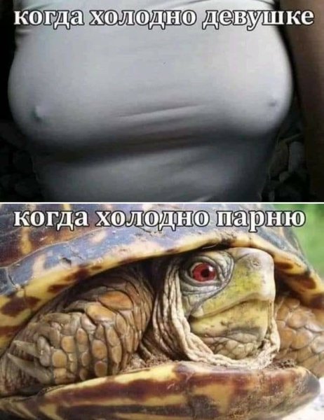 IMG 20191126 002940