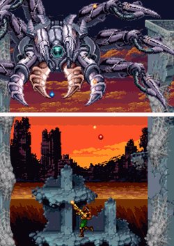 spider