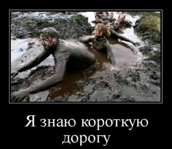 file_103303674