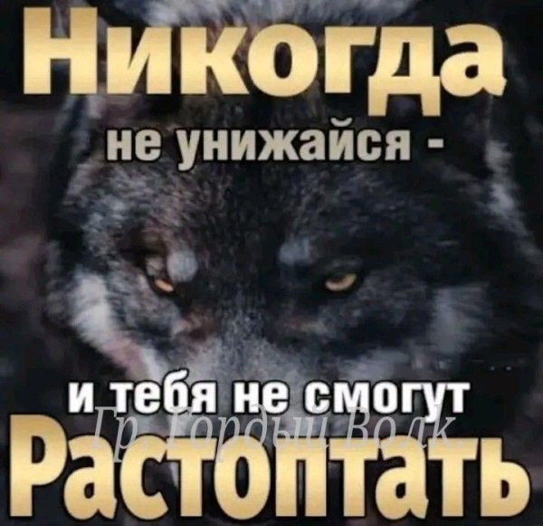 56bfd536ee030510169bc91d3aa0e991