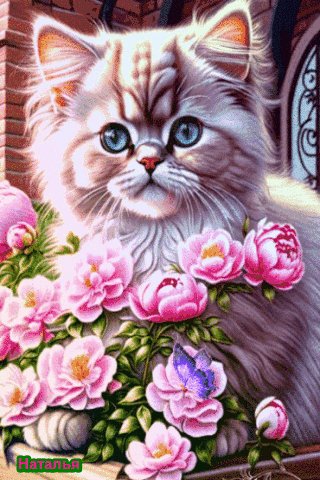 file_97635394