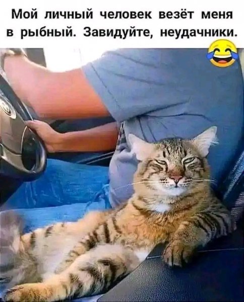 file_103313586