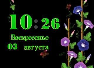 х240 Цветочные Фл.2.0