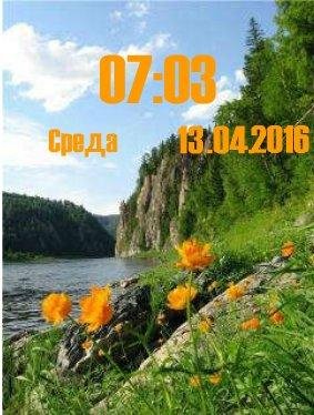 Полевые цветы