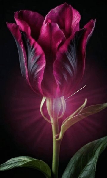 file_98872572