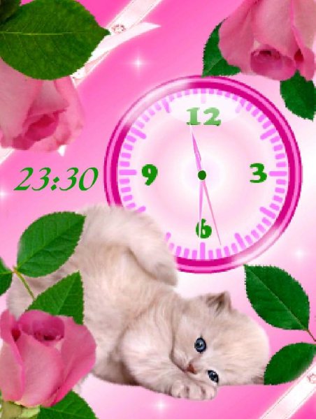 Котик в розах