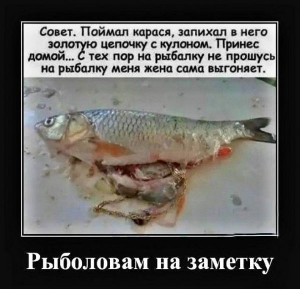 Рыболовам на заметку