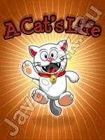 a cats life240x320