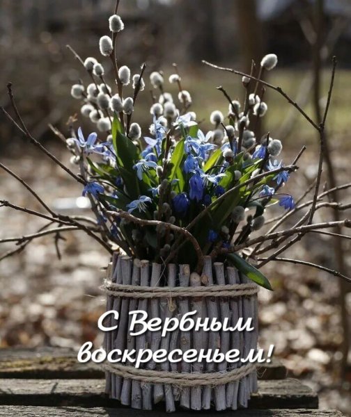 IMG 20230409 210738