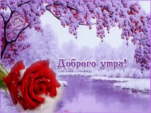 ДОБРОЕ УТРО
