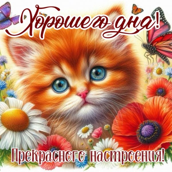 Хорошего дня