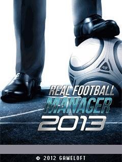 Real Football Manager 2013