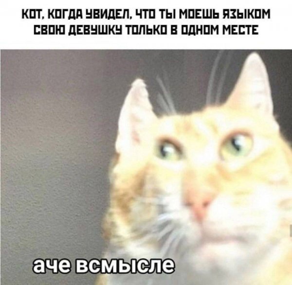 IMG 20260827 161339 007