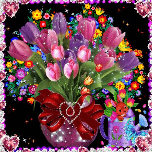 a505885ddcb3d652f753ee31944d