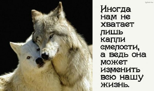 IMG 20160408 161804 98