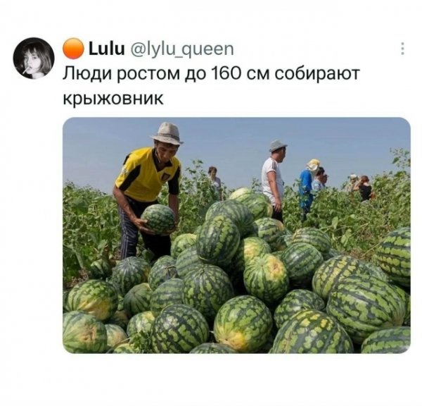 file_103313401