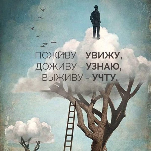 FB IMG 1708328748360