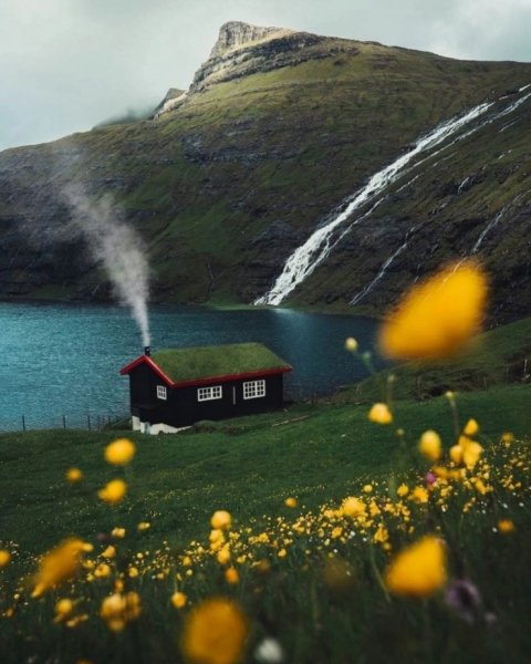 file_96277873