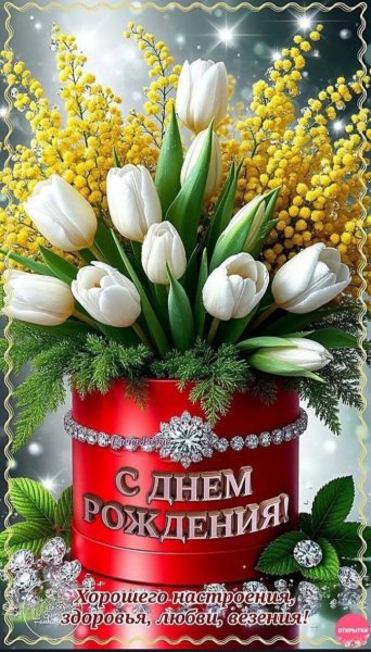 IMG 20260307 122729