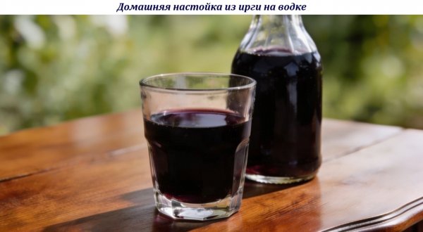 Домашняя настойка из ирги на водке