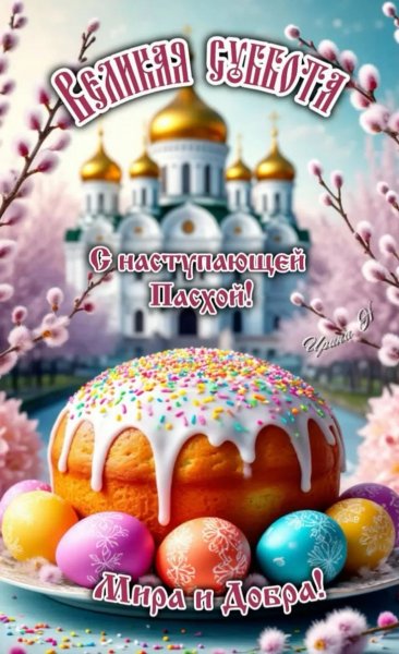 IMG-20260411-WA0009