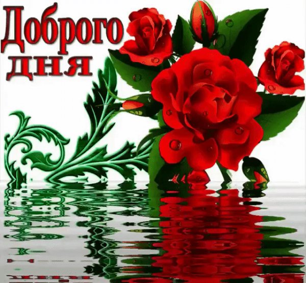 file_72953008